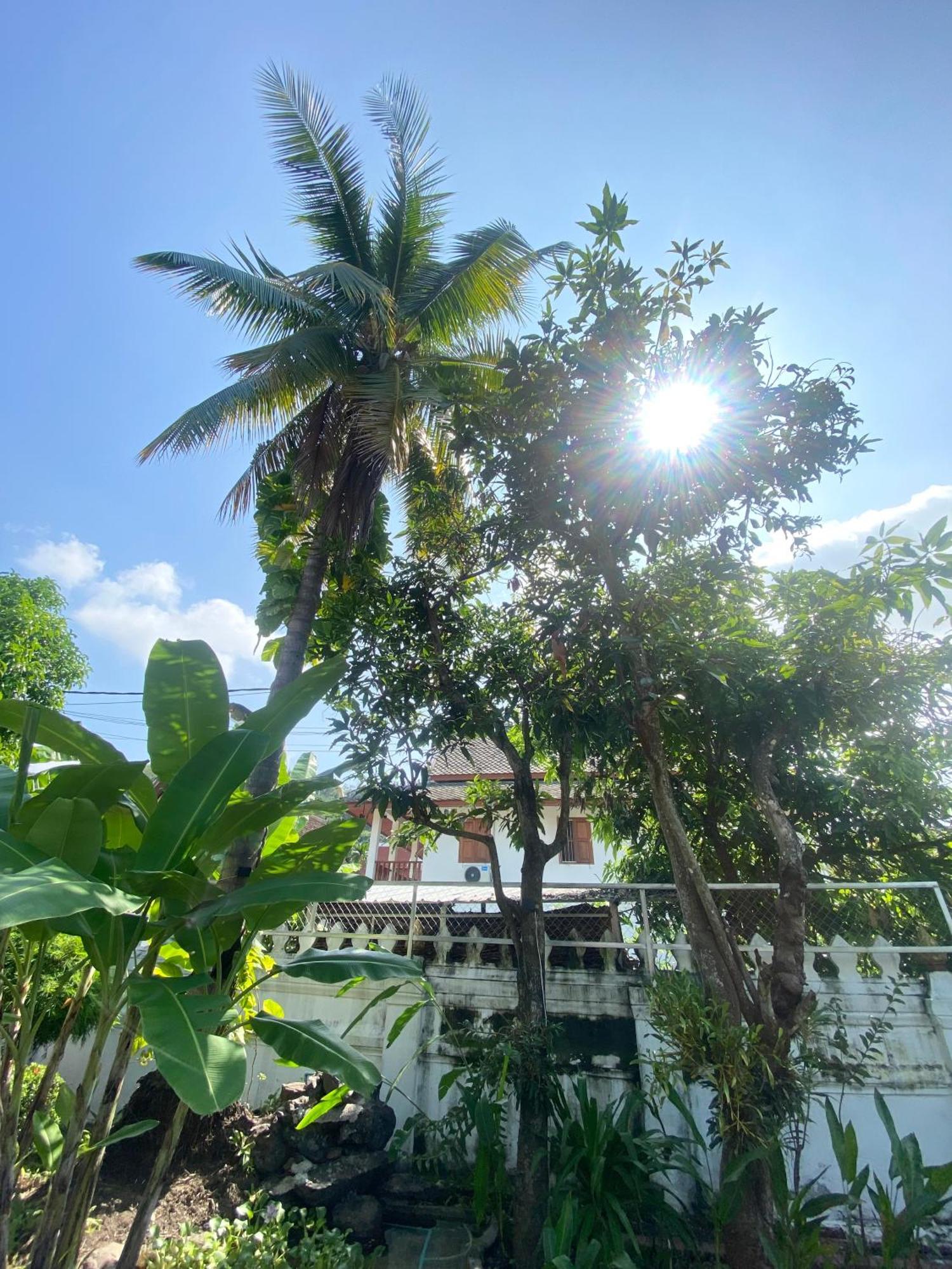 Luang Prabang Residence & Travel Luaran gambar