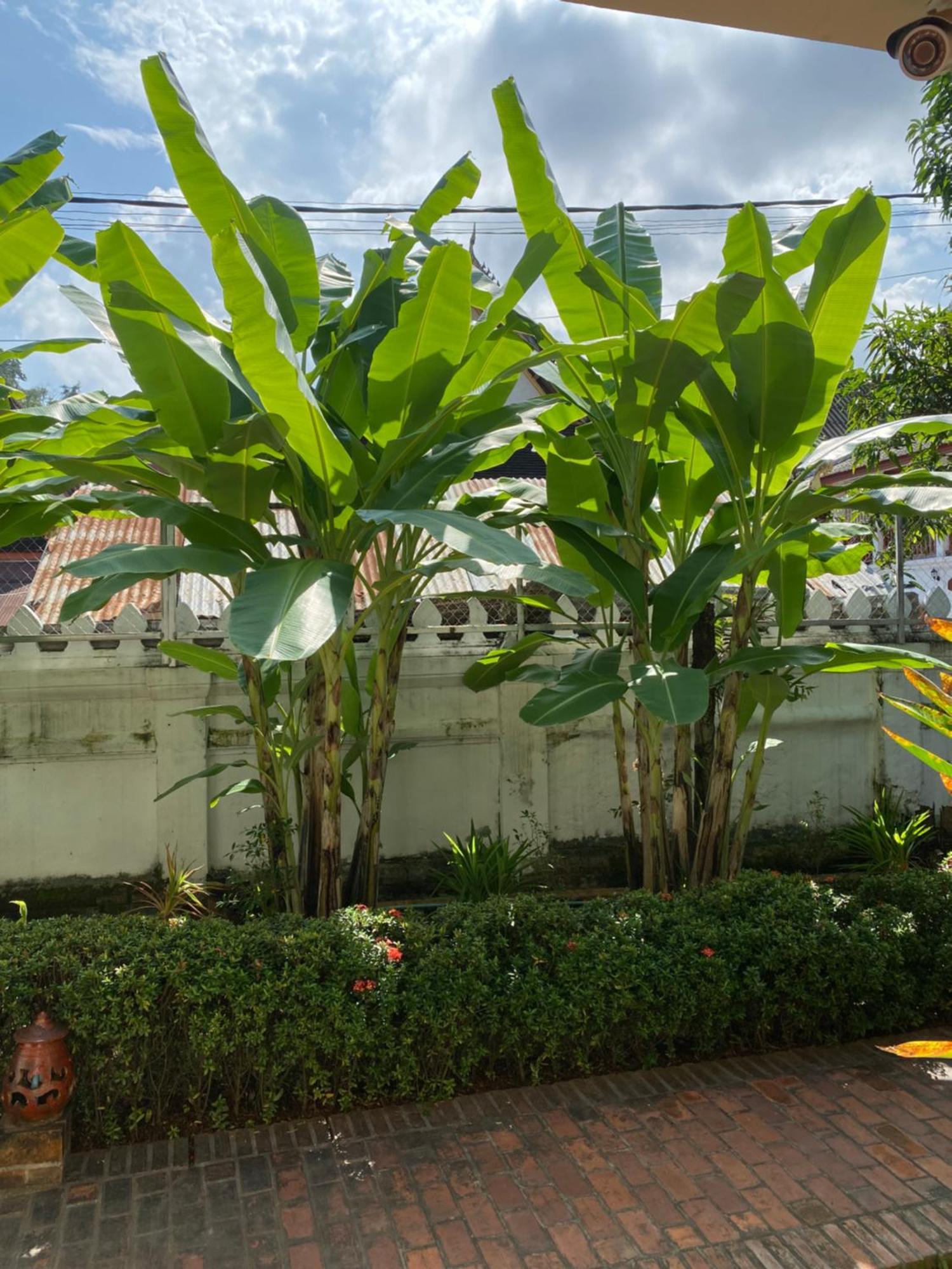 Luang Prabang Residence & Travel Luaran gambar