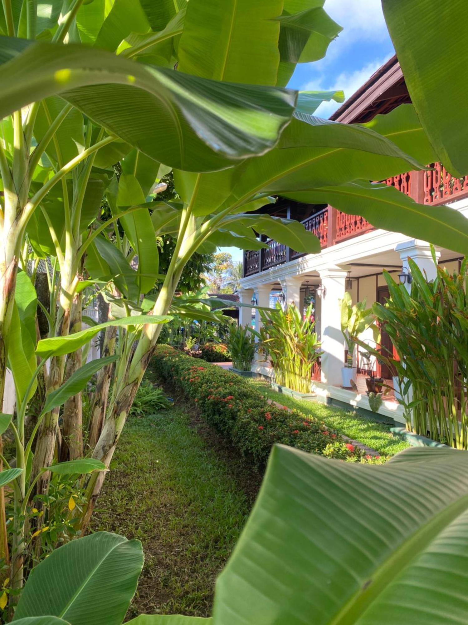 Luang Prabang Residence & Travel Luaran gambar