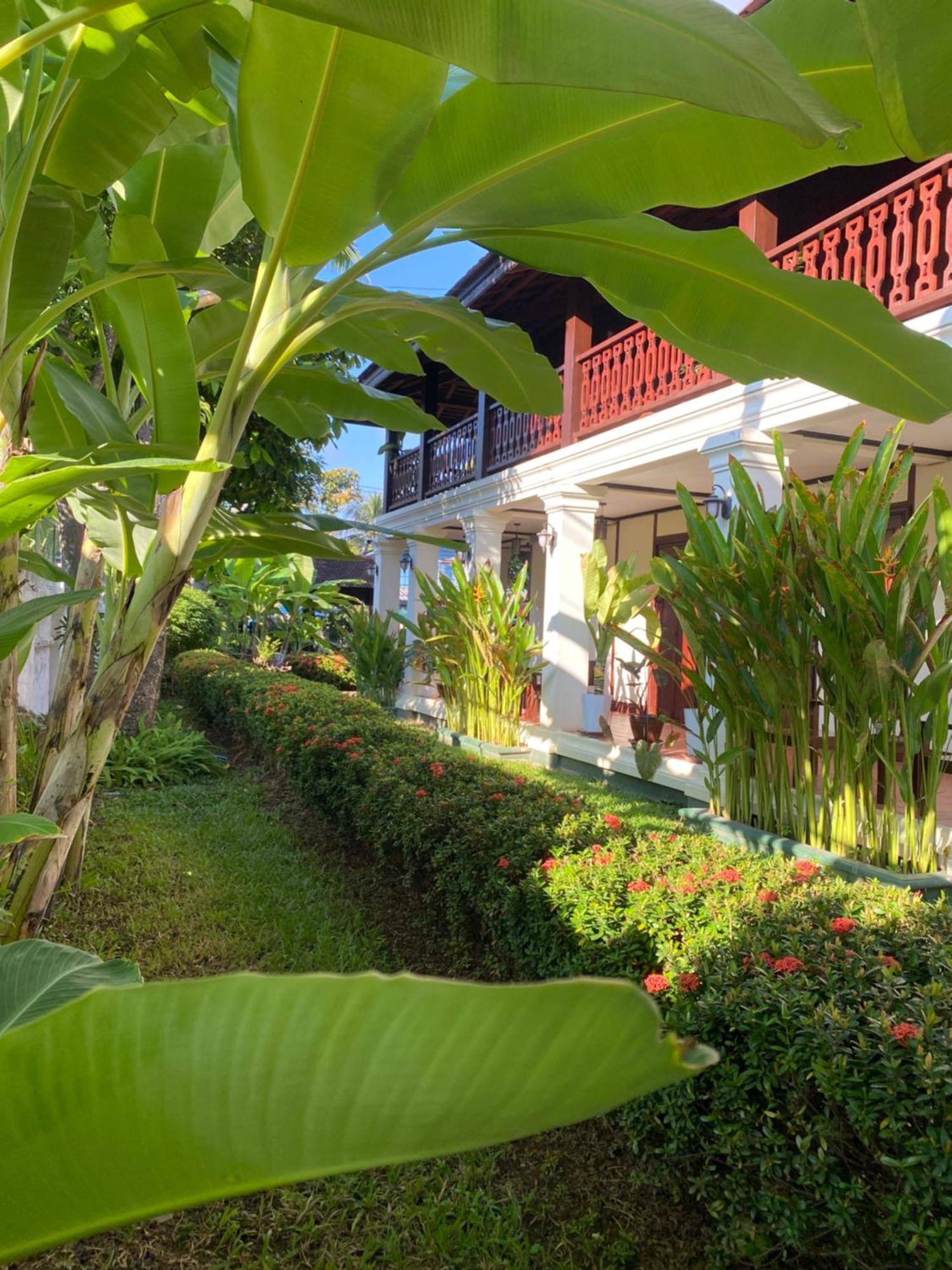 Luang Prabang Residence & Travel Luaran gambar